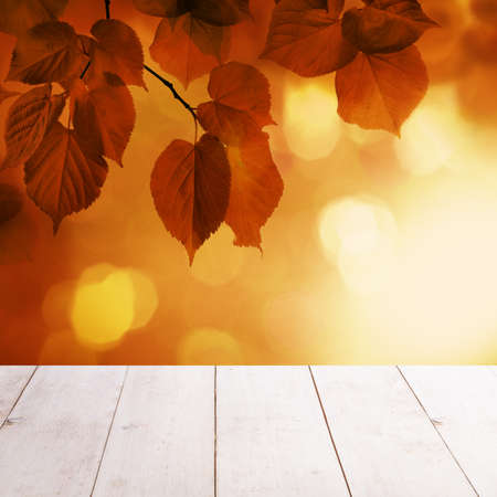 Autumn Background with Red Linden Leaves and Abstract Bokeh Glitter with empty white wooden board backgroundの写真素材