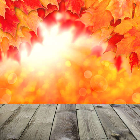 Colorful autumn background. Fall leaves and abstract sun light with empty dark wooden board backgroundの写真素材
