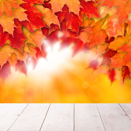 Autumn background with leaves. Colorful fall leaves and abstract gold bokeh light with empty white wooden board backgroundの写真素材