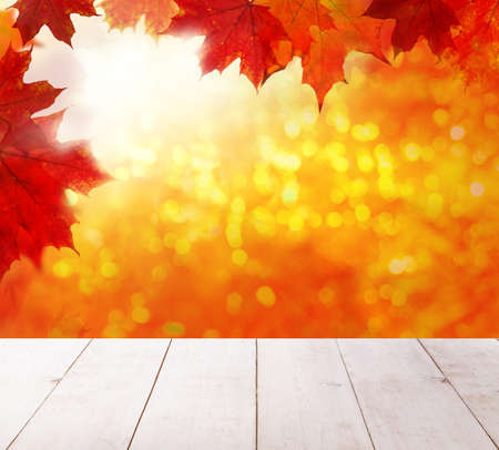 Autumn background. Colorful red fall maple leaves and abstract sun light with empty white wooden board backgroundの写真素材