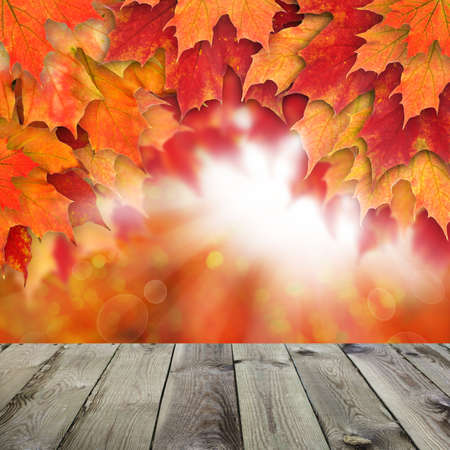 Fall background with red autumn maple leaves and abstract sun light with empty white wooden board backgroundの写真素材