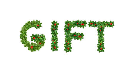 Holly With Berry Letters alphabet. Holly Leaves with berry's in the form gift. Isolated on whiteの写真素材