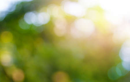 Blurred leaves, bokeh glitter sparkle, abstract green nature conceptsの写真素材
