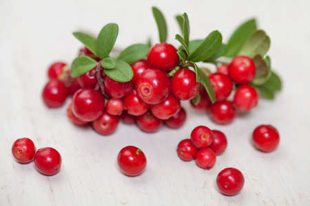 Red cowberries on white wooden boardの写真素材