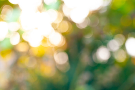 Abstract blurred forest lush background under sunlight with bokeh and copy space. Ecology cover and environment concept.の写真素材