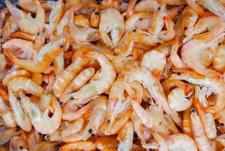 Frozen shrimps background. Dry freeze food with a minimum amount of water. Seafood delicacies, gourmet foodの写真素材