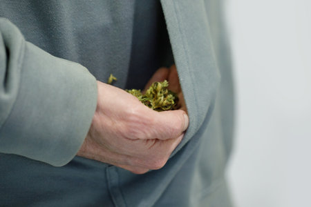 Complete Drying Marijuana Cannabis flowers buds in handの写真素材