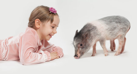Cheerful young child girl and pig pet posing on white studio wall backgroundの写真素材