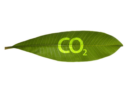 Green leaf with CO2 on white. The issue of carbon dioxide emissions, global warming, sustainable development concept.の写真素材