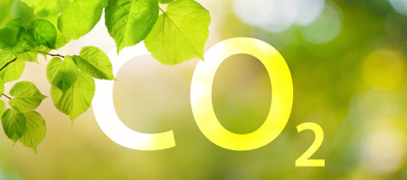 CO2 inscription on green leaves, environmental protection conceptの写真素材