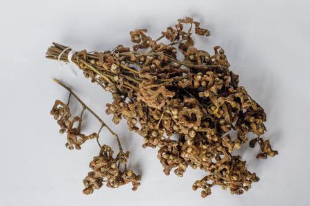 Hovenia dulcis or the oriental raisin tree traditionally used in East Asian medicine as a natural antidote for alcohol intoxication and in food as ingredient for sweets and wineの写真素材