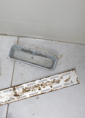 Dirty Water Drain On Ceramic Tiled Floorの写真素材