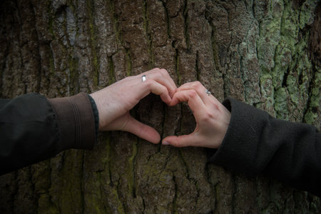 Male and female hand making heart shapes on tree
