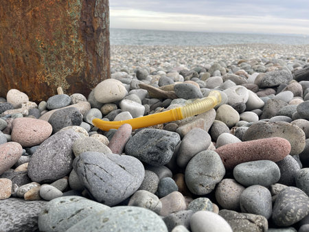 a tube for snorkling on the beach