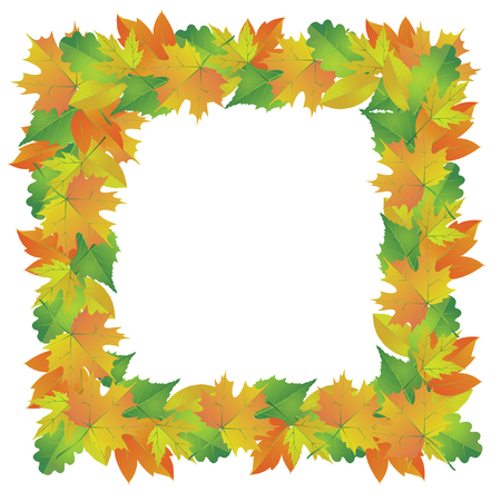 Frame of autumn leavesのイラスト素材