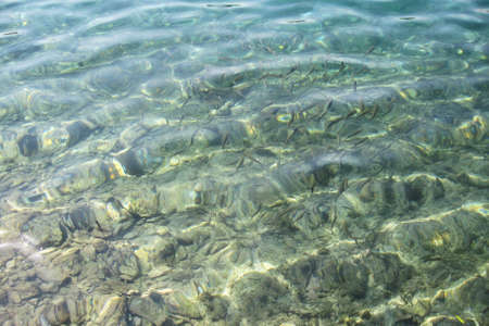 dubrovnik croatia sea viewの写真素材