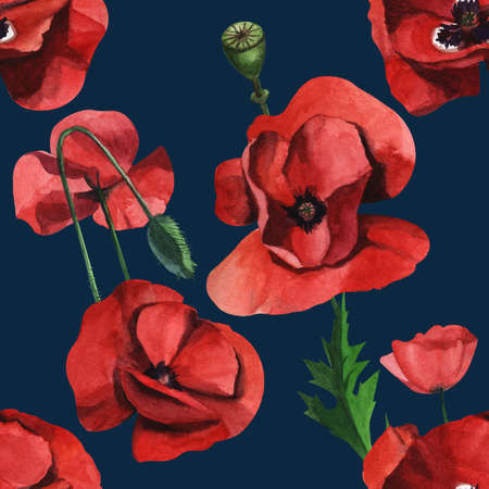 Watercolor seamless pattern with wild red poppiesの写真素材
