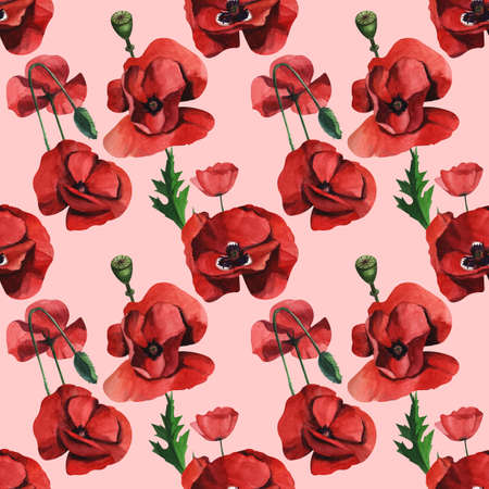 Watercolor seamless pattern with wild red poppiesの写真素材