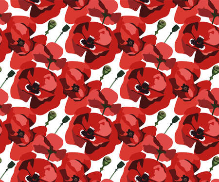 Vector seamless pattern with wild red poppiesのイラスト素材