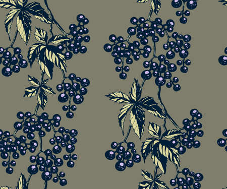 Vector ornamental vine grapes decorative background. Ethnic seamless pattern ornament. Vector patternのイラスト素材