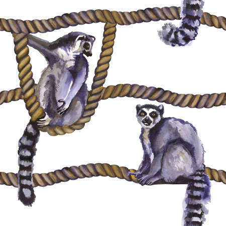 Watercolor lemurs on a rope tropical wildlife seamless pattern. Hand Drawn jungle nature, lemur, hibiscus flowers illustrationの写真素材