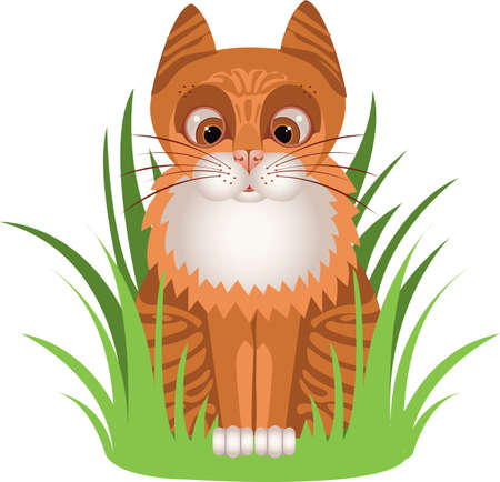 Ginger kitten in the grassのイラスト素材