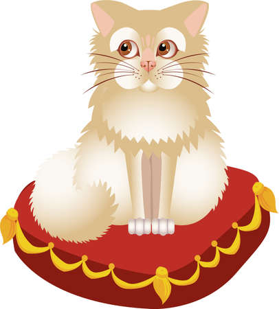 White kitten on a red pillow のイラスト素材