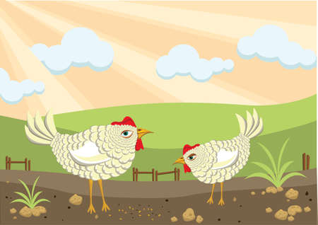 Chickens on the farmのイラスト素材