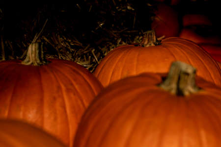 Close-up of pumpkins on a hay bale