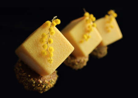 Velvet textured bright yellow cube dessert with mimosa flowers isolated on black backgroundの写真素材