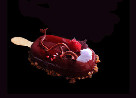 Red fruit gelato ice cream on stick with raspberry and flower petalsの写真素材