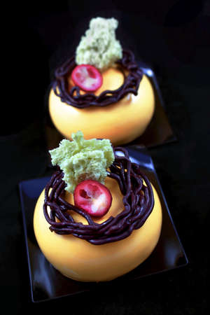 Orange mousse desserts with chocolate nest decoration, cranberry and pistachio spongeの写真素材