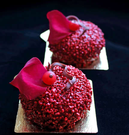 Red textured desserts with red currant berries and edible red rose petalの写真素材