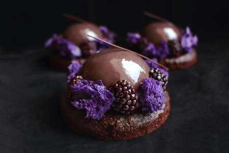 Glazed chocolate and blackberry desserts with purple microwave sponge and fresh berries on black velvet backgroundの写真素材