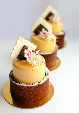 Orange mango spring desserts with chocolate sponge border, chocolate decor and fresh chestnut flowersの写真素材