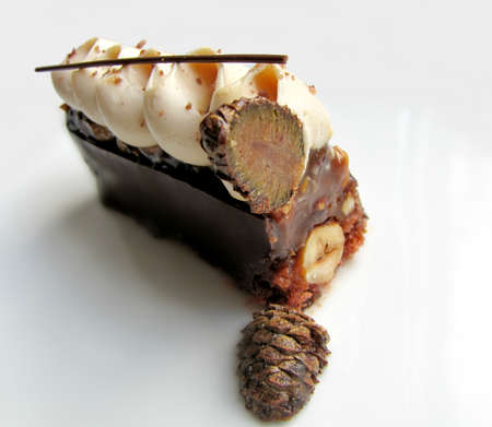 Hazelnut ganache, chocolate and caramel dessert with sliced pine coneの写真素材