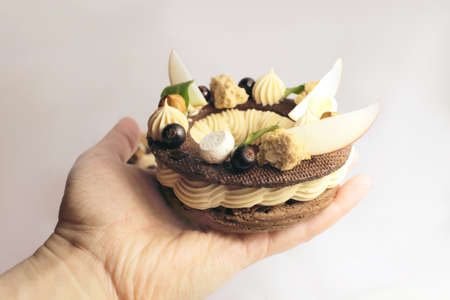 Hand holding rustic Paris Brest choux pastry rings with hazelnut ganache, nuts, apple slices, black currants and hazelnut spongeの写真素材