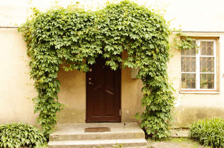 Building entrance framed with greeneryの写真素材