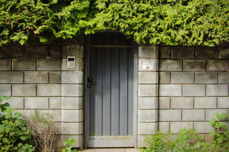 Gray brick fence with a closed gray door overgrown with green foliage and grass