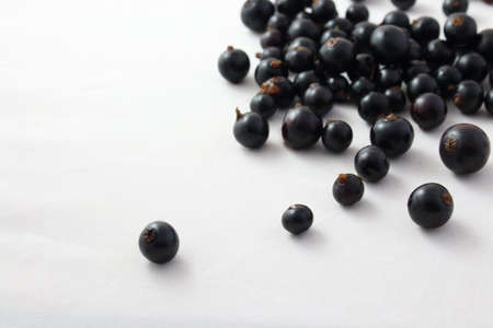Juicy black currant berries isolated on white backgroundの写真素材