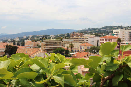 Old town view over blurred green leaves in Franceの写真素材