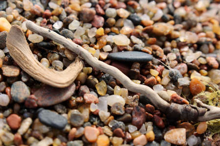 Drift wood on beautiful wet sand macroの写真素材