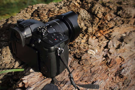 Black camera standing on old textured fallen tree trunk