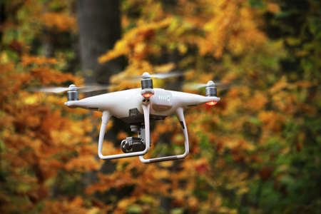 Flying copter in autumn forest with yellow leaves