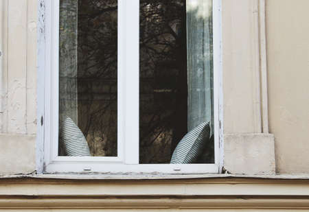 Cozy window sill seat with two pillows and reflections of street treesの写真素材