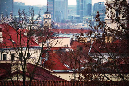 Cityscape view on old town and skyscrapers through foliage