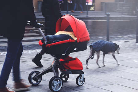 Father with red baby stroller walking along a paved street street with wife and dog
