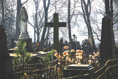 Old cemetery with grave stones and crosses in spring bright sunの写真素材
