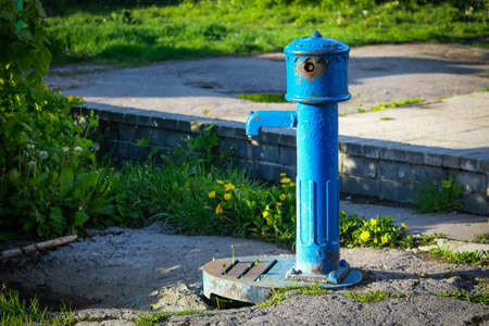 Blue water pump sanding in yard with greenery on sunny dayの写真素材