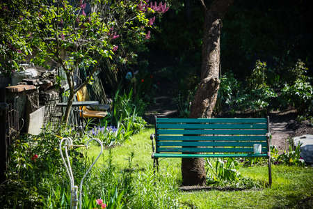 Blue bench sending under tree in garden surrounded by greeneryの写真素材